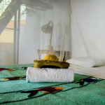 View from the main bed