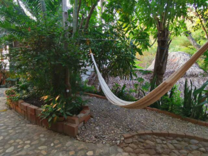 El Estudio's terrace (semi private)