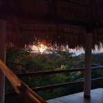 An image taken from our main terrace