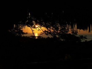Beautiful sunrise