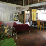 Room Nautilus from another angle