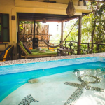 The pool and the launge area with hammock