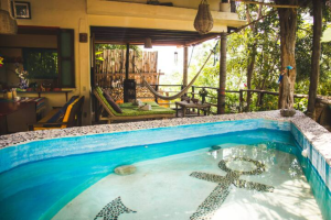 The pool and the launge area with hammock