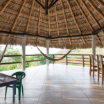 You are welcome to enjoy our shared terrace to see the sunrise, do some yoga or just check your emails