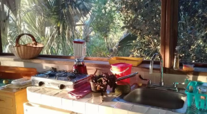 Equipped with stove, blender and coffee maker